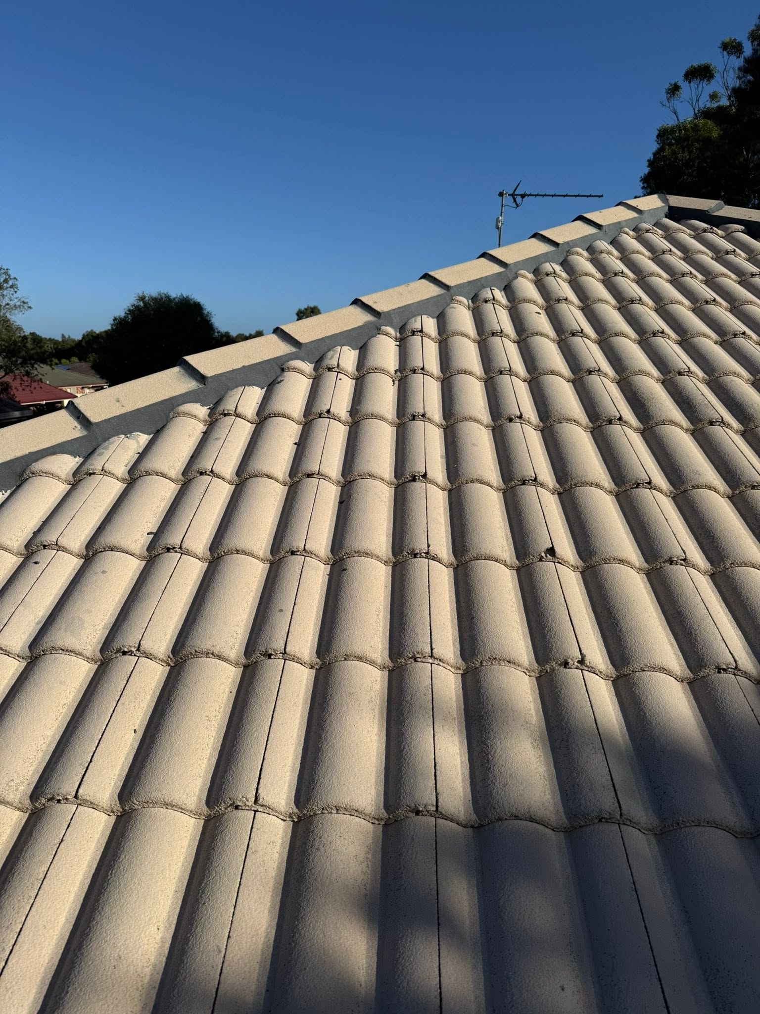 Tired roof before restoration: Dirty, moss-stained tiles