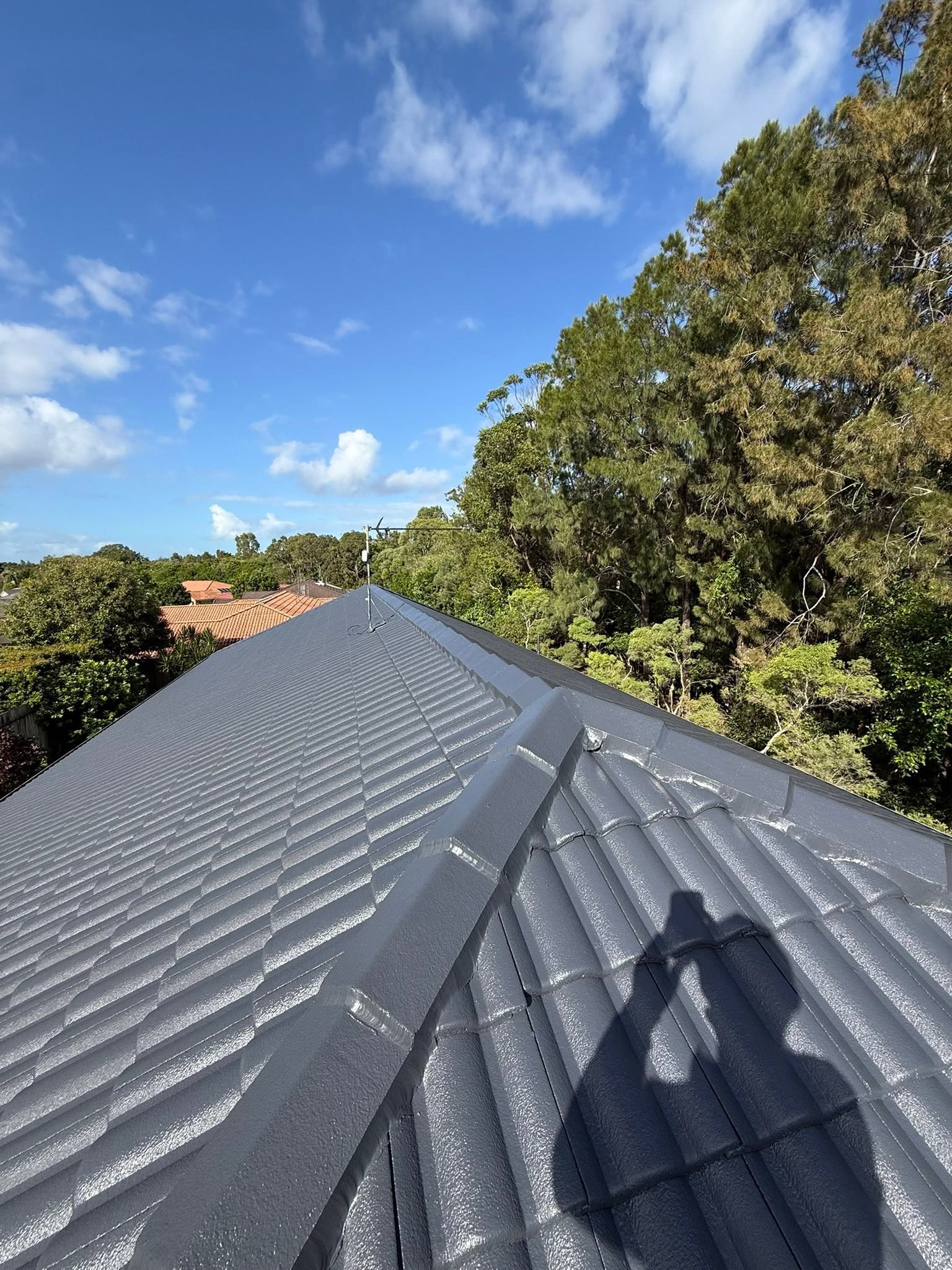 Sky Shield roof restoration 6