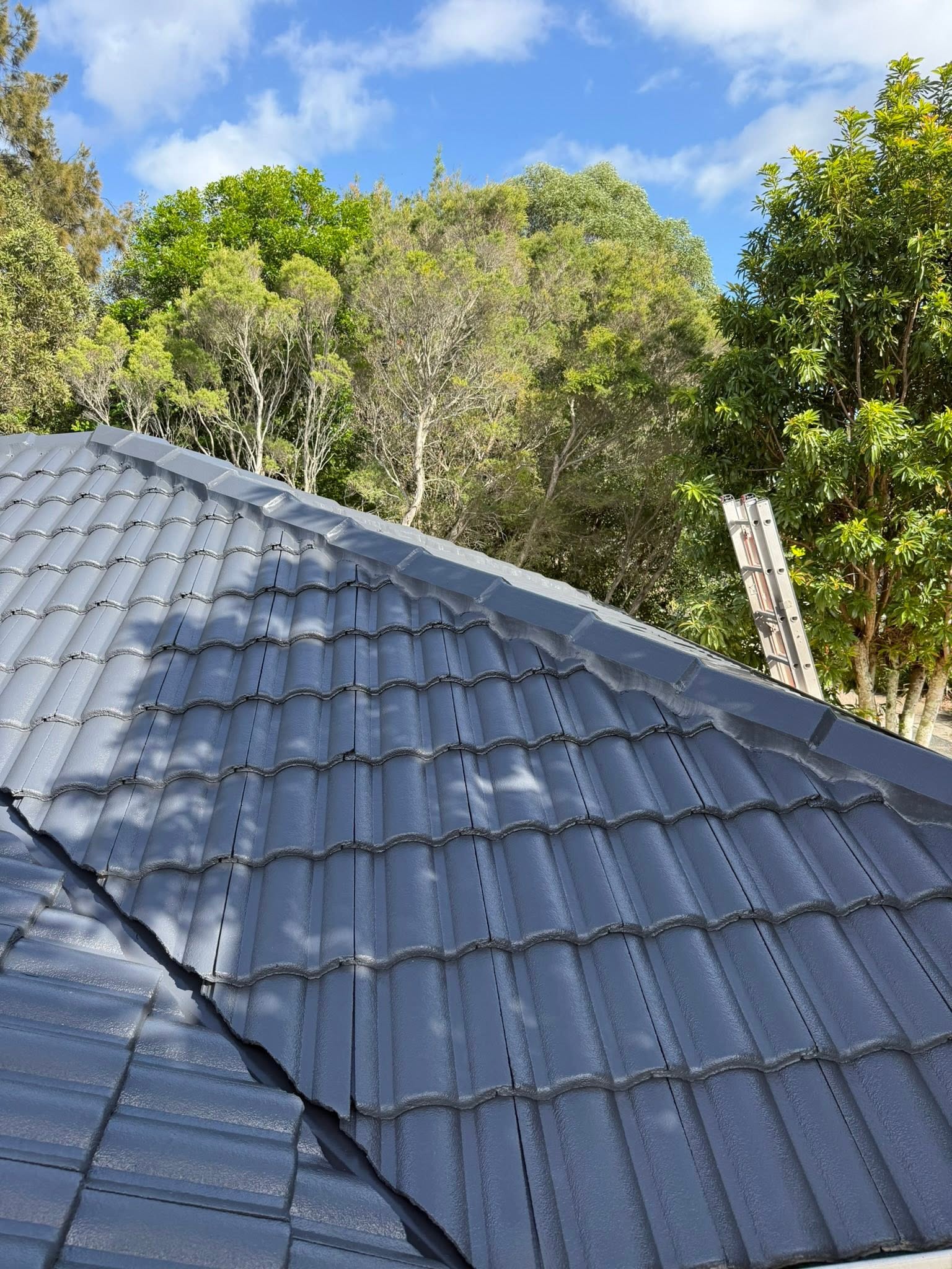 Sky Shield roof restoration 9