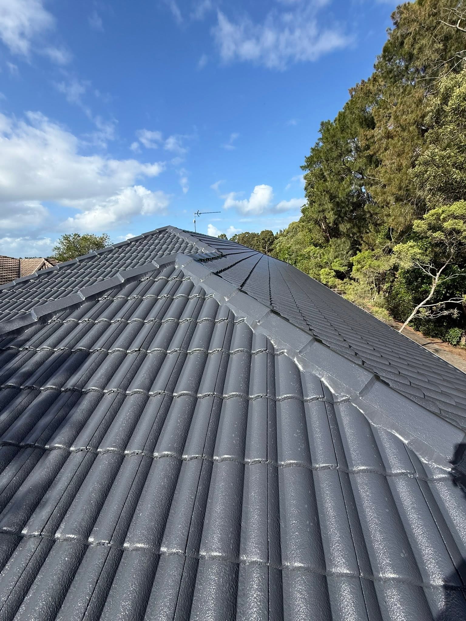 Sky Shield roof restoration 10